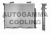 AUTOGAMMA 104317 Radiator, engine cooling